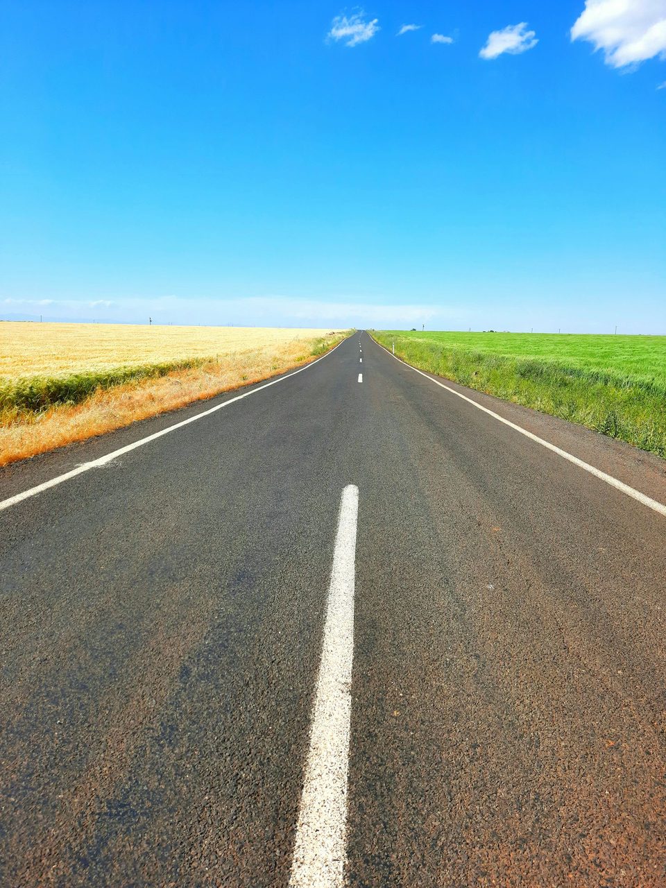 Open road stretching through green and gold fields under a blue sky