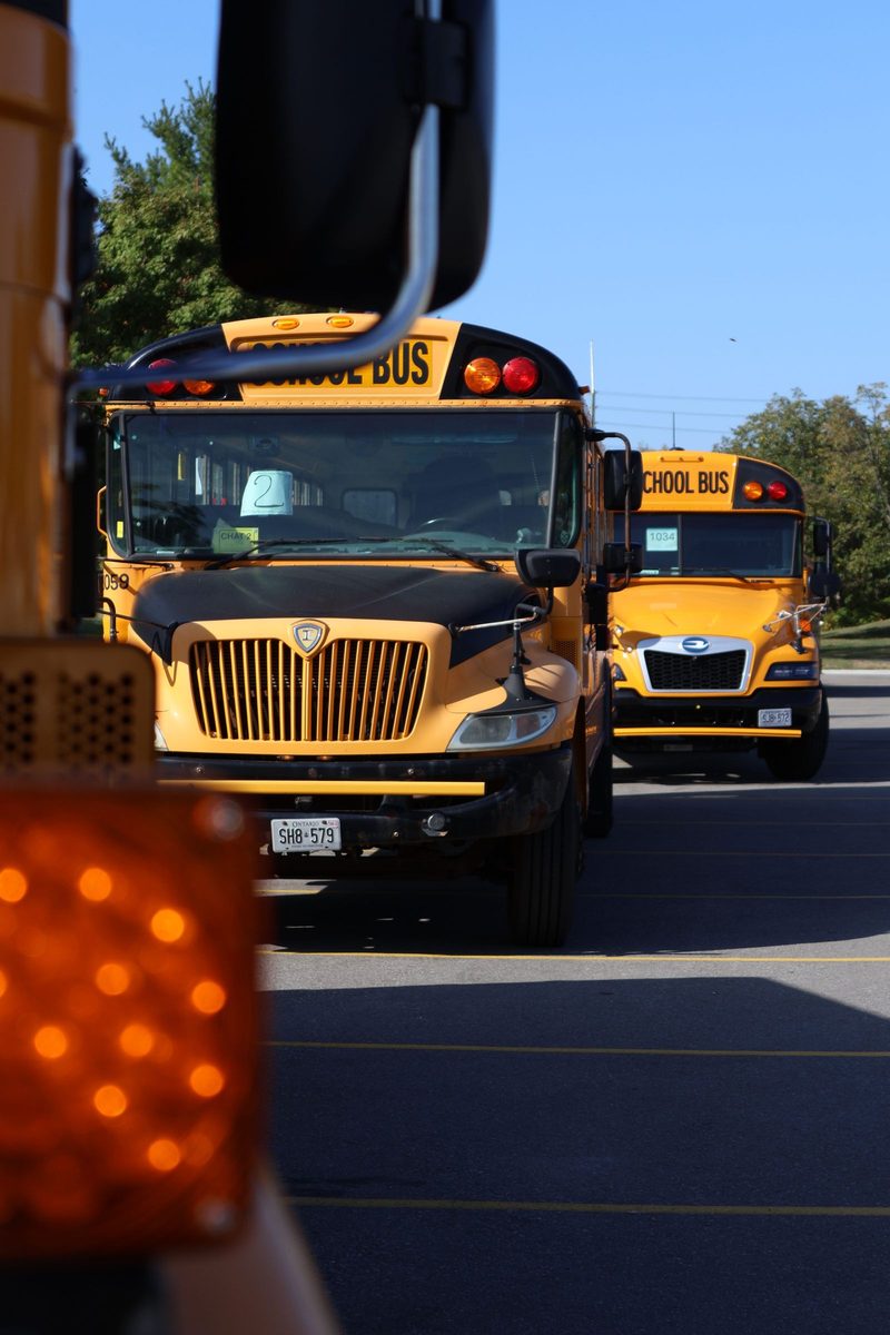 School buses parked outdoors on a sunny day
